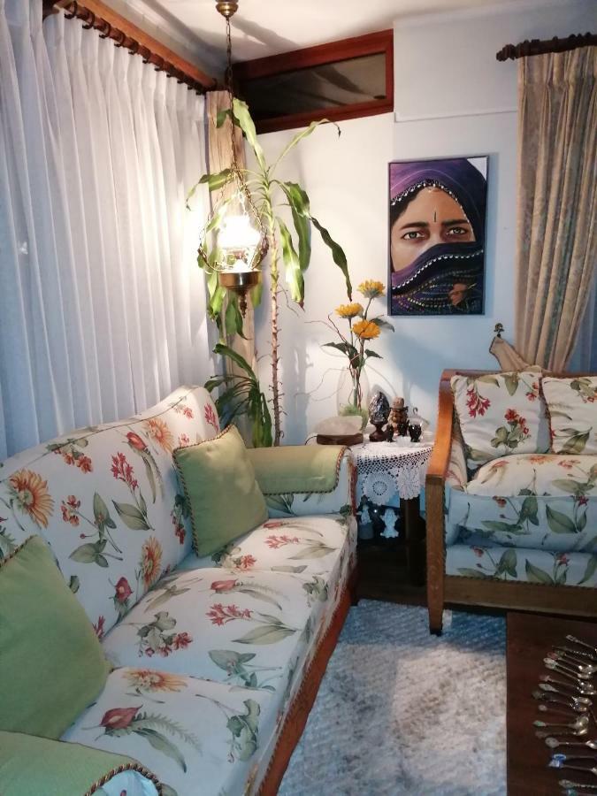 Posada Selva Negra Temuco Zewnętrze zdjęcie